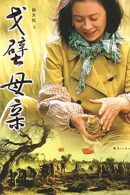 戈壁母亲封面图