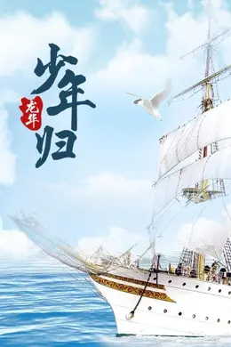 龙华之少年归封面图