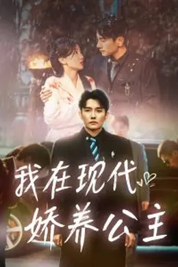 我在现代娇养公主海报图片