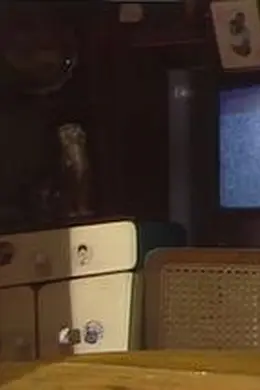 三色梦里人粤语封面图