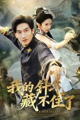 我的针气藏不住了海报图片