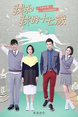 我和我的十七岁封面图