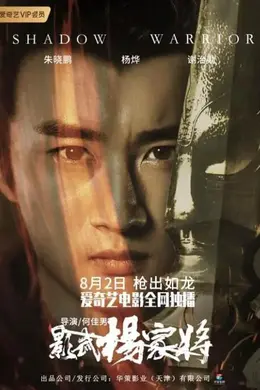 影武杨家将封面图