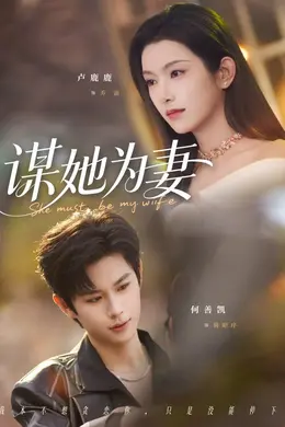 谋她为妻海报图片