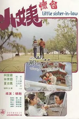 小姨怀春封面图