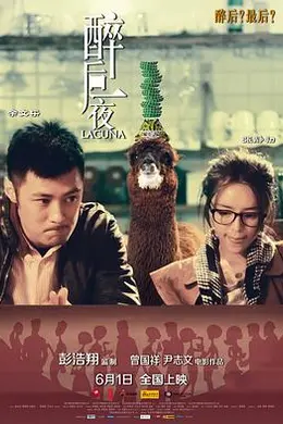 醉后一夜封面图