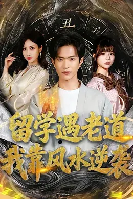 留学遇老道，我靠风水逆袭海报图片