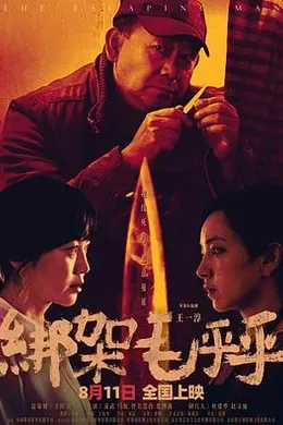 绑架毛乎乎封面图