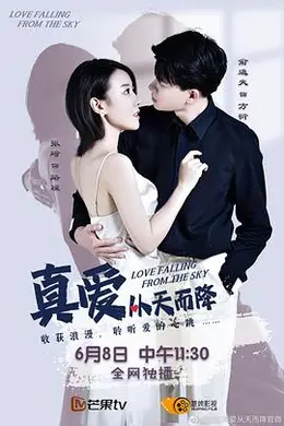 真爱从天而降 第一季封面图