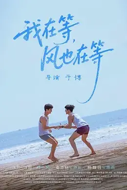 我在等，风也在等封面图