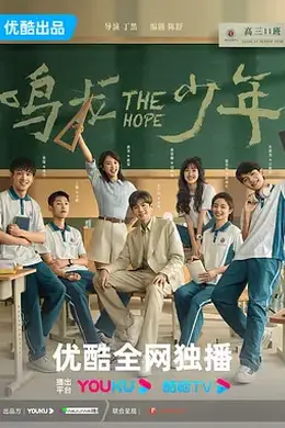 鸣龙少年 DVD版封面图