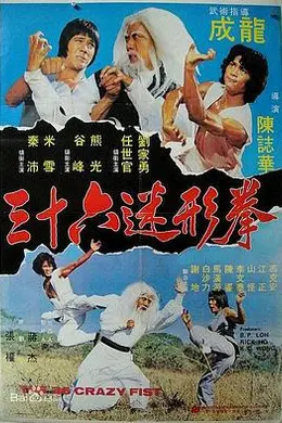 三十六迷形拳封面图