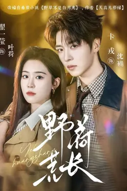 野荷荒长海报图片