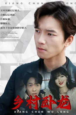 乡村卧龙海报图片