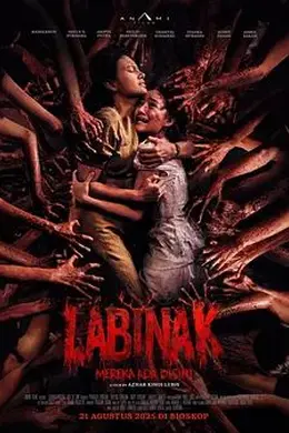 它们在这里封面图