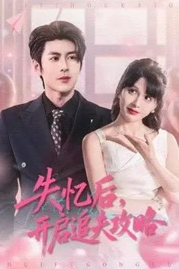 失忆后，开启追夫攻略海报图片