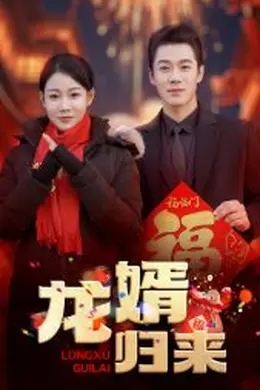 龙婿归来海报图片