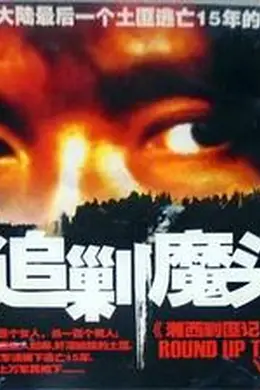 追剿魔头封面图