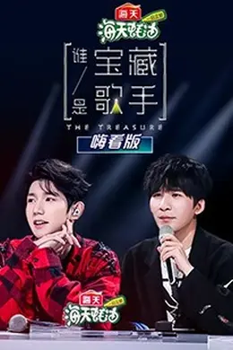 谁是宝藏歌手 嗨看版封面图