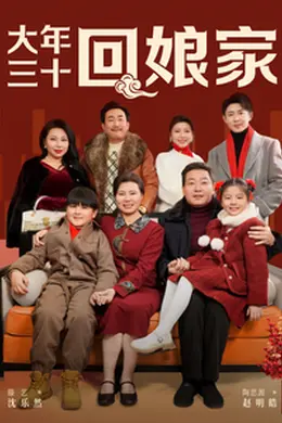 大年三十回娘家海报图片