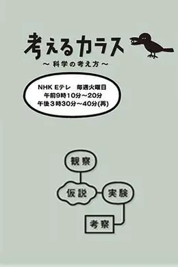 像乌鸦一样思考封面图