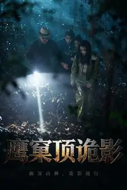 鹰窠顶诡影封面图