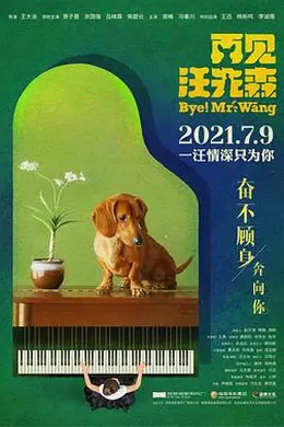 再见汪先森封面图