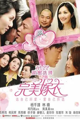 完美嫁衣封面图