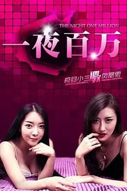 一夜百万封面图