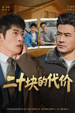 二十块的代价海报图片