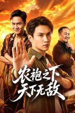 农袍之下天下无敌封面图