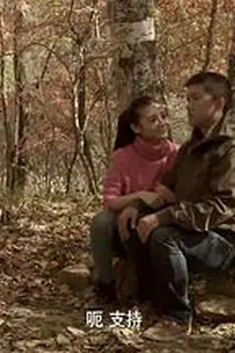 七彩田野封面图