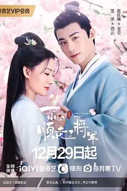 一不小心顺走了将军封面图