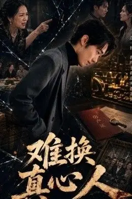 难换真心人海报图片