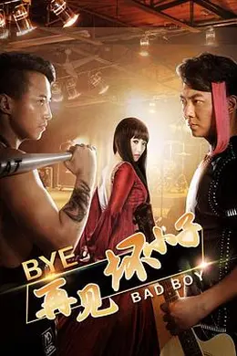 再见坏小子封面图