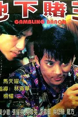 地下赌王封面图