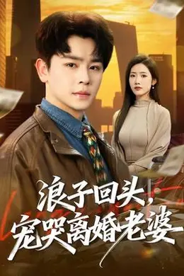 浪子回头，宠哭离婚老婆海报图片