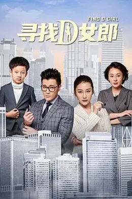 寻找D女郎封面图