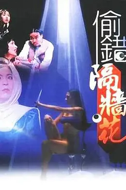 偷错隔墙花封面图