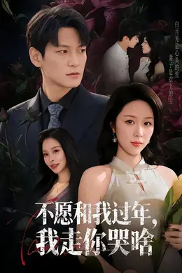 不愿和我过年，我走你哭啥海报图片