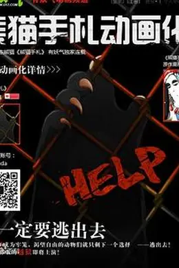 熊猫手札封面图