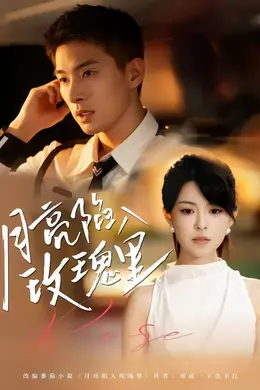 月亮陷入玫瑰里封面图