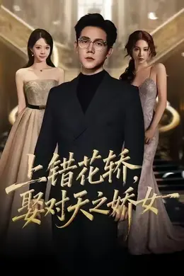 上错花轿，娶对天之娇女海报图片