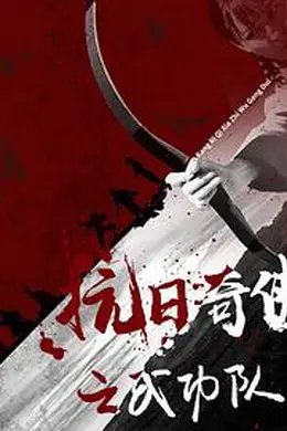 抗日奇侠之武功队封面图