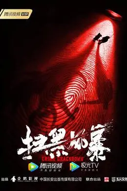 扫黑风暴封面图