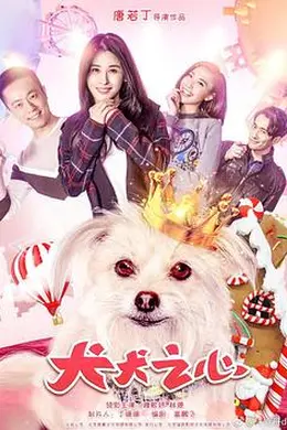 犬犬之心封面图