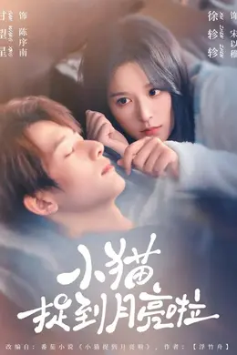 小猫捉到月亮啦封面图