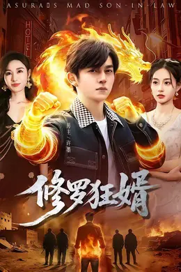 修罗狂婿封面图