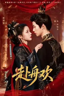 赴舟欢海报图片