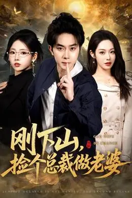 刚下山捡个总裁做老婆海报图片